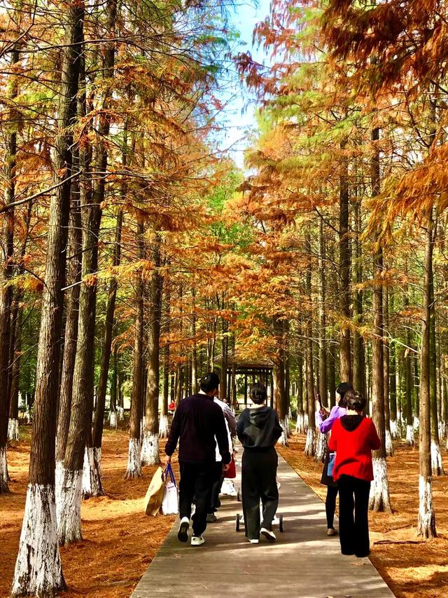 秋色斑斓美如画