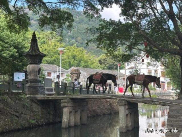浙山浙水：玉苍山下的大宋流风