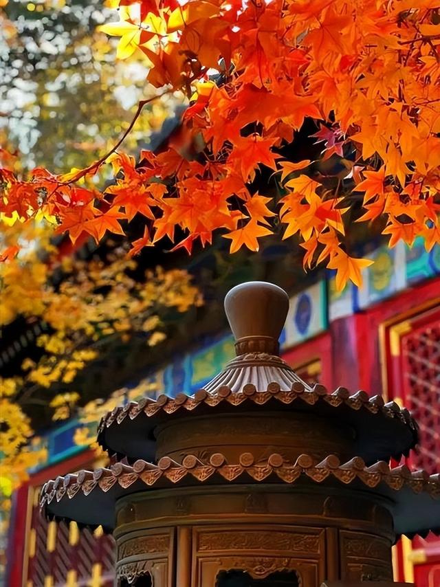 中国最知名的四大红叶观赏胜地：层林尽染，美不胜收