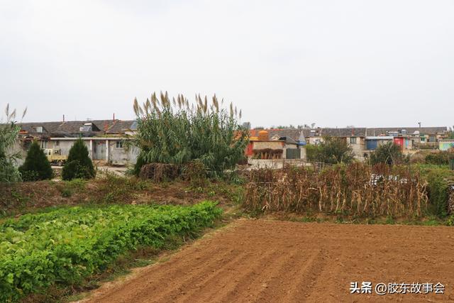 组图：牟平区莒格庄镇“福禄地”村掠影