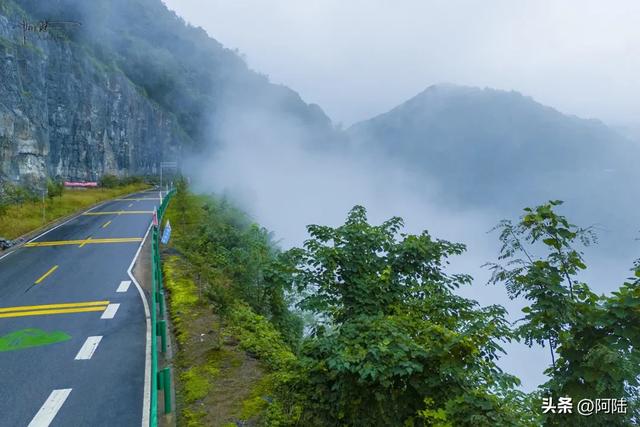 雨雾交加中穿越351国道，在千丈岩偶遇云海，十分钟后便被湮没