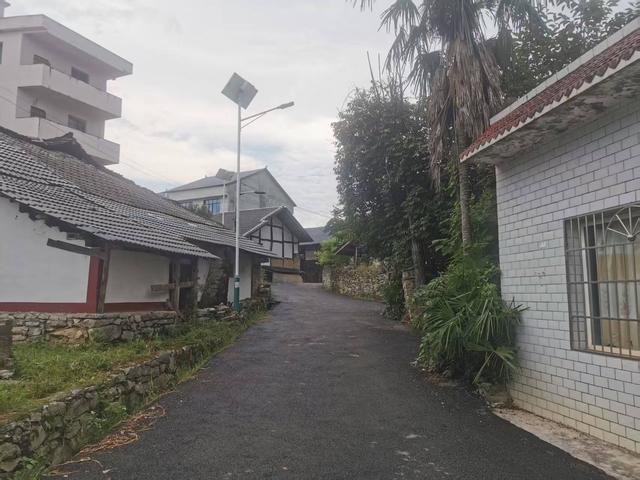 遵义新蒲：三渡有个“杨柳田场”