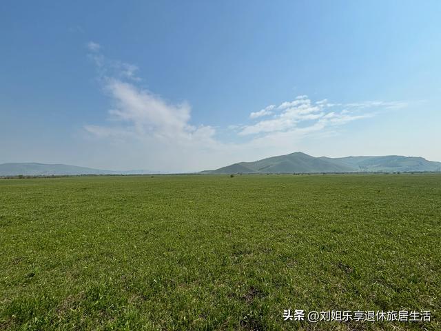 呼伦贝尔大草原不走寻常路，看最美的莫尔格勒河九曲十八弯