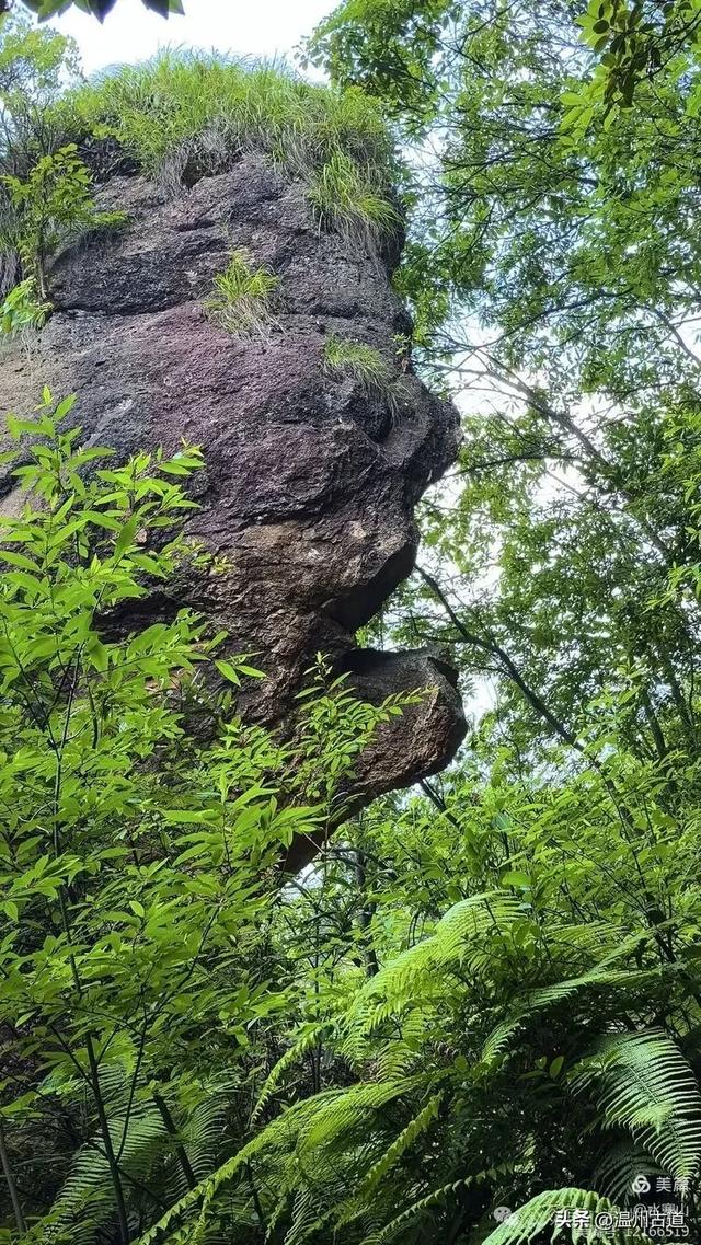 这座有24个奇峰、14个石洞,120处景点的名山你可去过?