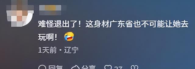 全红婵夺冠还不到4天，恶心的一幕便出现了，人民日报发文力挺