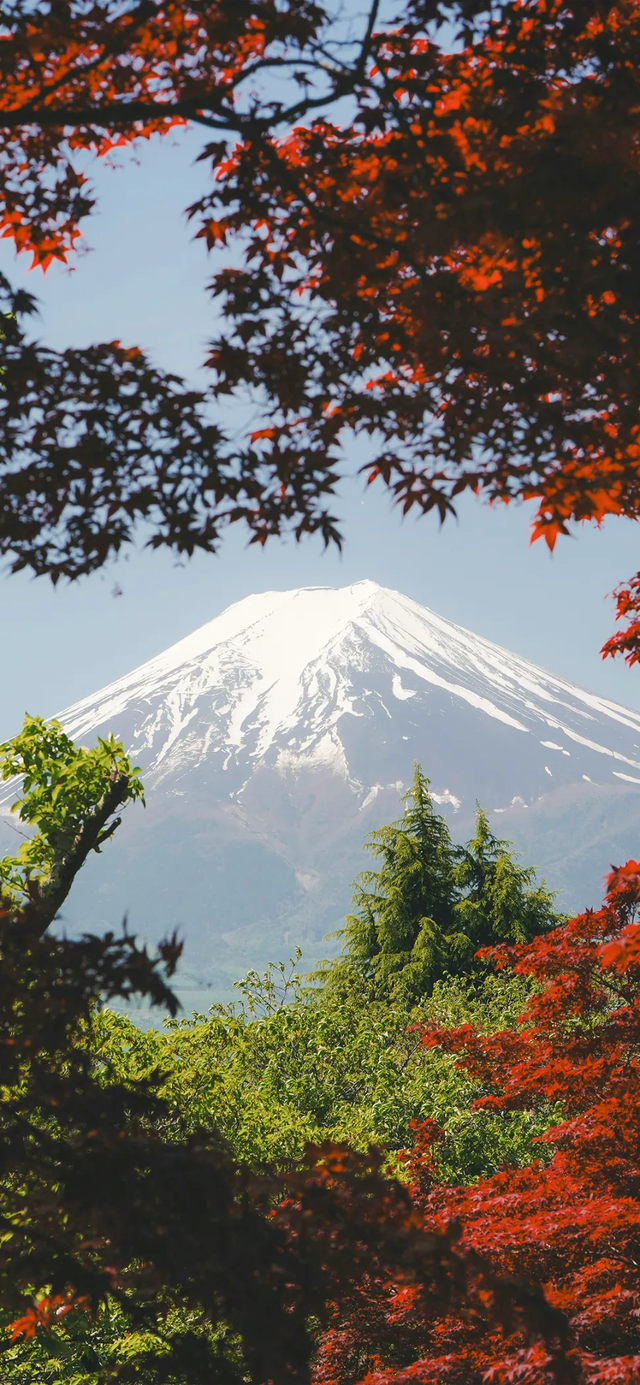 手机壁纸|高耸入云的山峰自然景色