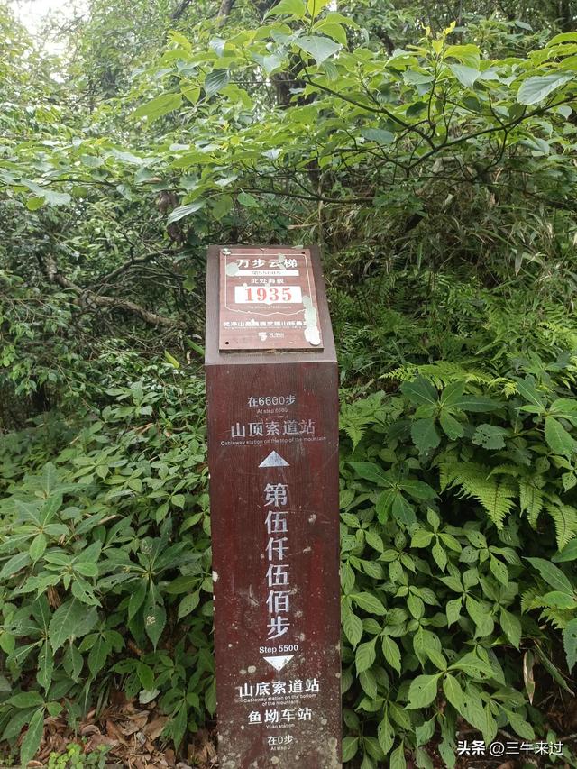 无为在歧路，贵州六日行（15）～梵净山