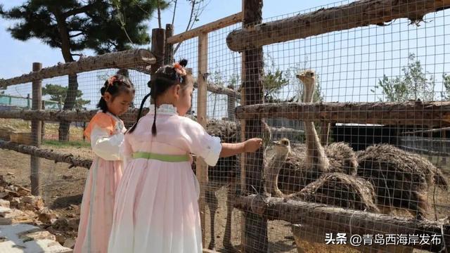 小众玩法上线，“反向游”西海岸！