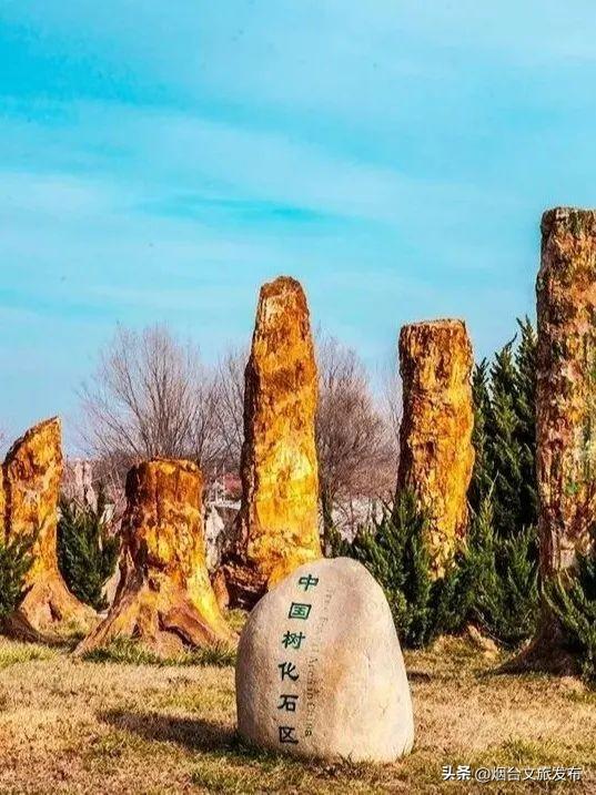 【乐游烟台】逛遍烟台，我最喜欢的慢节奏小城出现了→