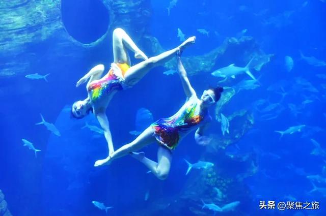 贵州极地海洋世界国庆期间日均迎客超5000人