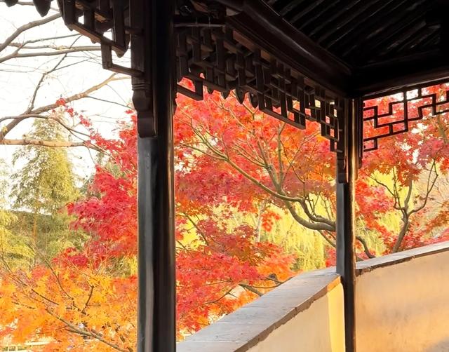 苏州秋天藏不住了！8个封神打卡地，承包江南最浓秋意