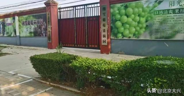 一站式嗨玩密码，就在大兴采育镇！