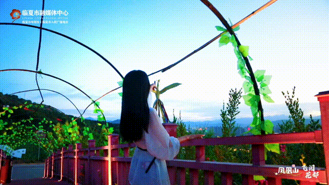 飞阅花都③丨初秋时节，邂逅凤凰山的斑斓盛景