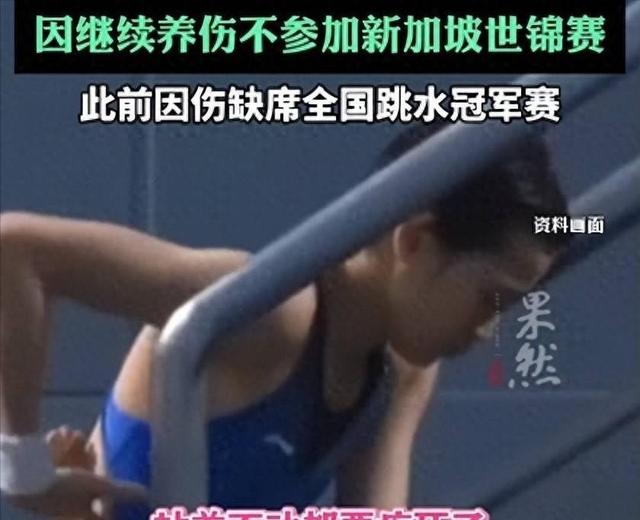 全红婵休养是假象？国家队秘密康复计划全解密