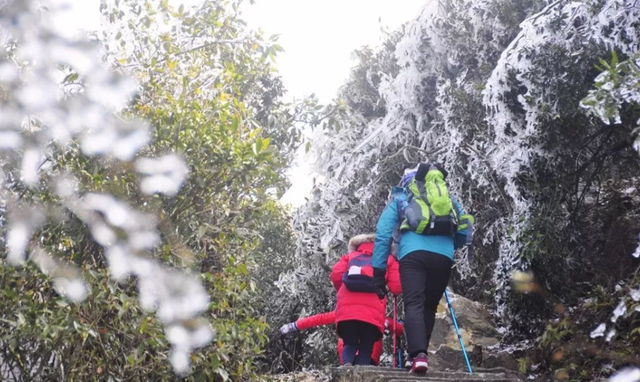 年轻妈妈携带2岁儿子爬雪山跨年受困，被发现时孩子已经失温