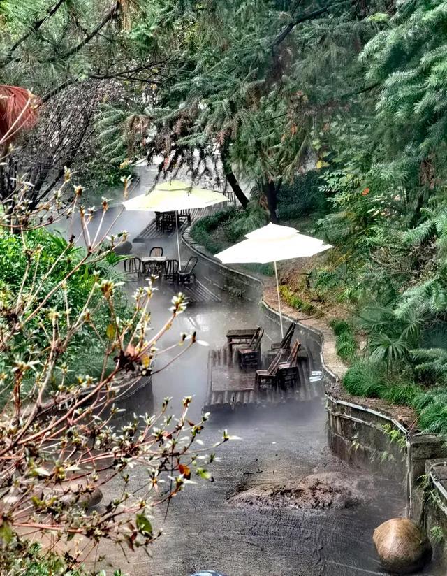 相约在湖州,相聚在梦萦——记原福空医院老战友2025年湖州行