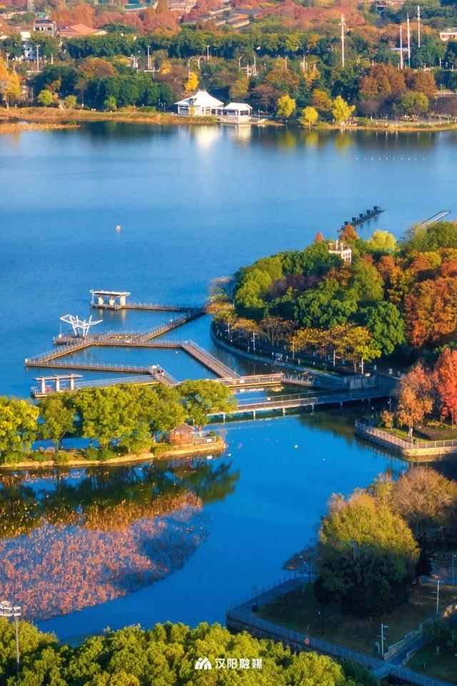 武汉城中心的彩叶秘境，在汉阳藏不住了！