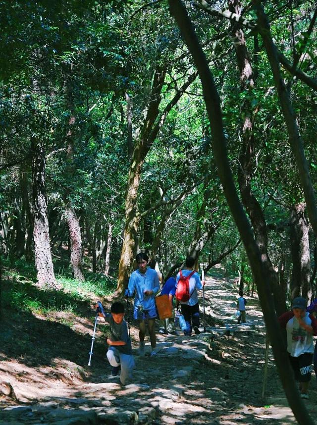 周末带娃撒欢，去旺山郊野公园觅野趣！