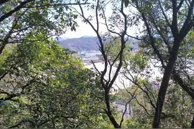 如何判断孩子是不是读书的料？方法简单粗暴值得一试。图片