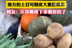 南方的土豆可削皮大葱按根卖图片