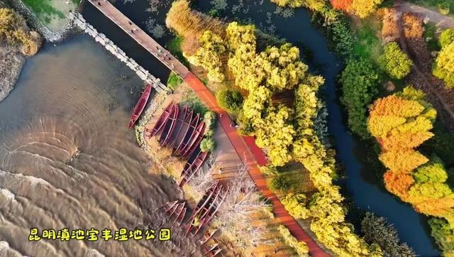 “人在画中游”!昆明这个湿地公园成“全民健身”热门打卡地
