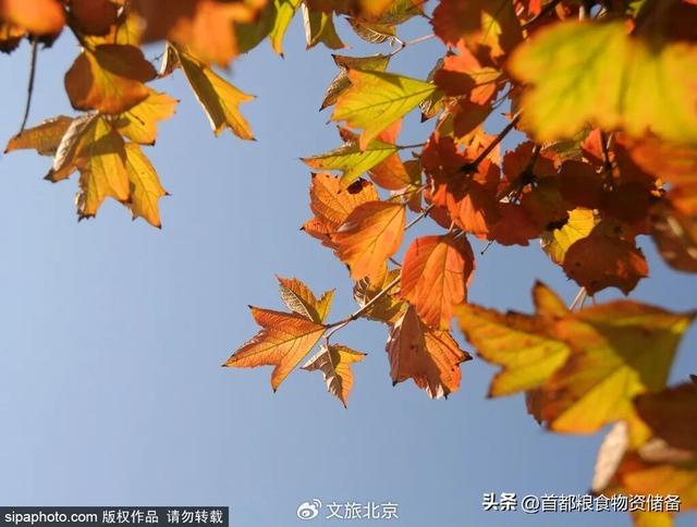 沉浸式感受！去“燕京十景”之一饱览碧波秋景｜周末京郊微度假
