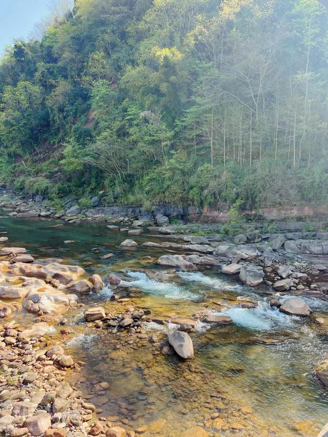 森林徒步天花板，后悔没早来！成都小众路线1.5h可达～