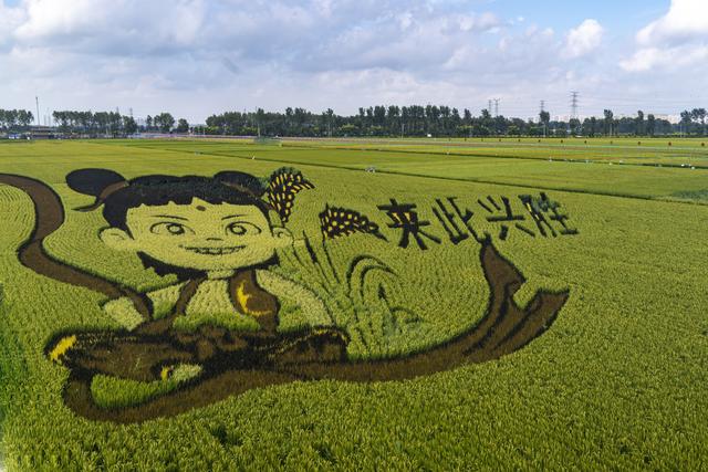 辽宁沈阳：市民与游人又一打卡地来袭