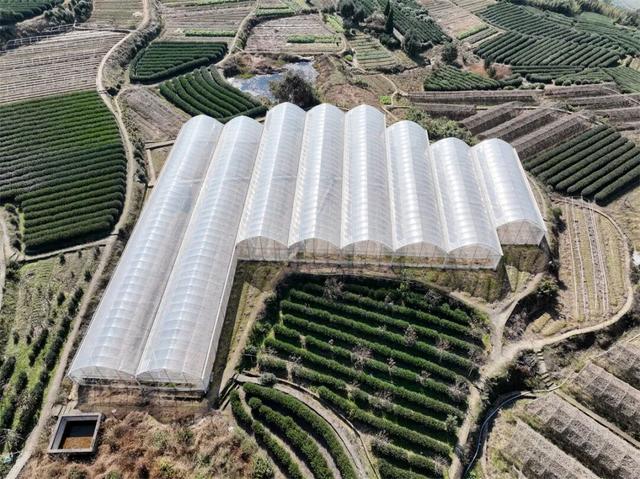 富阳这个网红村，游客车辆从山脚排到村里！