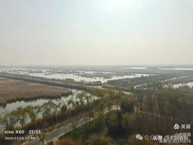 苇风载秋，鹤影映波——河北黄骅南大港湿地的初冬漫游｜ 申艳娟