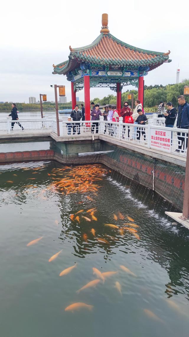 长春这有山摩肩擦踵，南湖公园绿树迎风