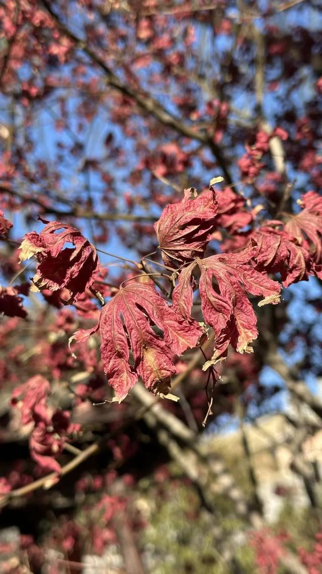 来京20多年，终于走进了一直不敢进的友谊宾馆......