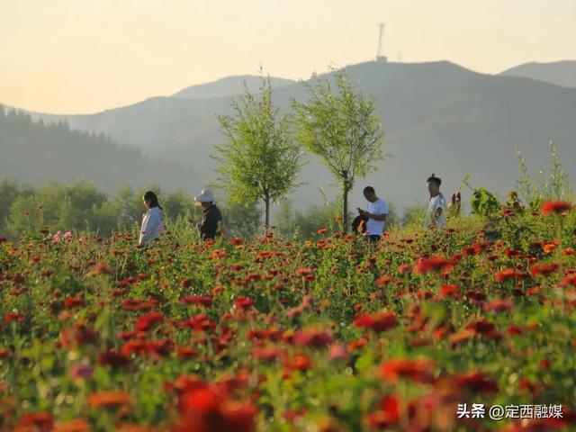 岷县：牧马滩秋日百花争艳引客来