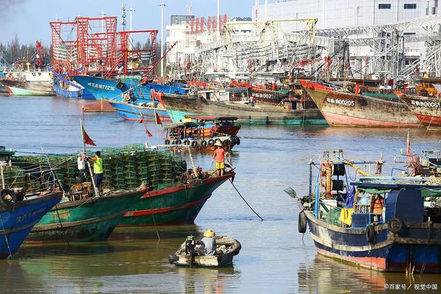 海味阳江：左手海鲜盛宴，右手千年渔风，快来这里赶海呀