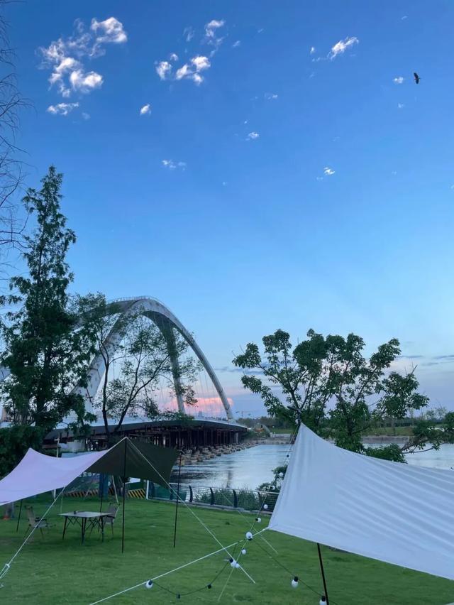 锦江公园秋意浓！红枫银杏作点缀，行走坐卧皆是诗~