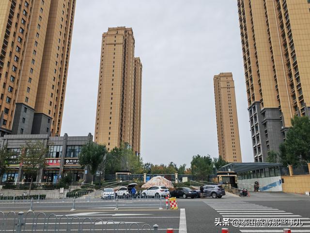 泰安：泰山下一个街角公园火了，有百米粉黛花海，错过要再等一年