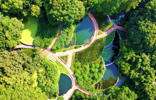 成都活水公园获亚太区卓越新建公园奖
