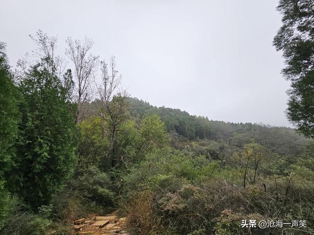山里那么大，我想去看看，一起打卡大山冬季游吧