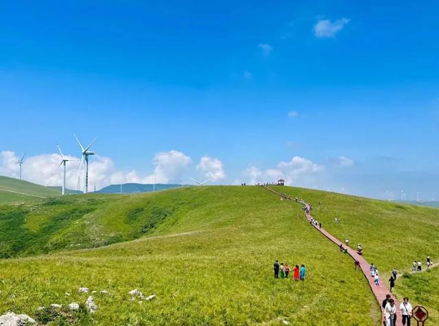 消夏活动已就位！沁源邀请你加入“盛夏狂欢季”