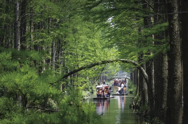 高铁直达!专列明天出发:早茶叫醒你的胃,足球点燃你的夜!