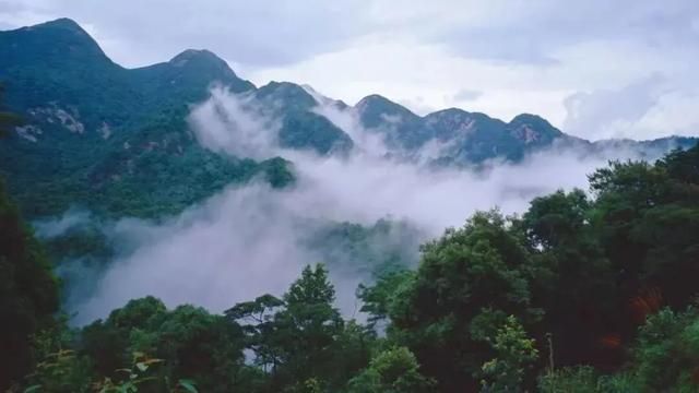 报名继续!今年你的越野赛,就在广州从化收官吧!