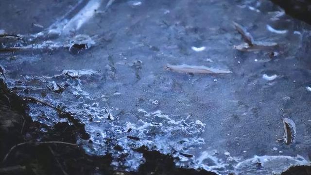 这不是迷信！“最怕立冬是雨天	”，今日立冬，下雨啥预兆？