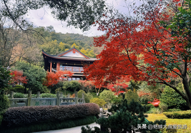 杭州“调色盘景点”爆火了，人从众不说，还藏着天花板枫景线！