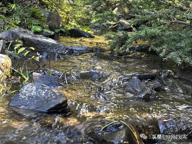 赴一场勒秀之秋：风染彩林，心归自然