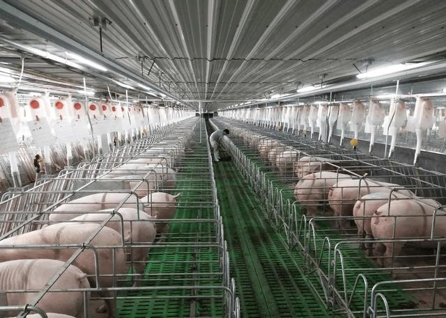 中国最不好惹的一个省！半个中国都要依赖它，还能在战时承接产业