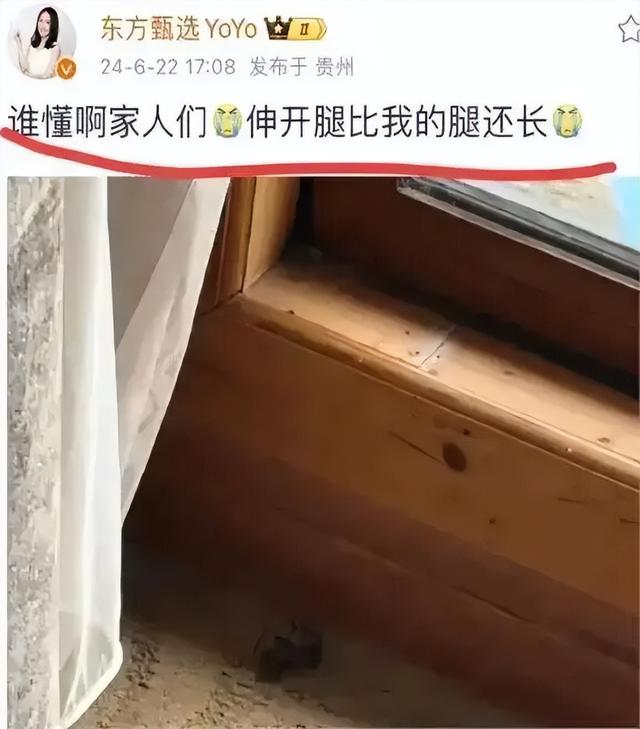 董宇辉成大款，顿顿当老板，留下的YOYO却熬成“废子”令人唏嘘