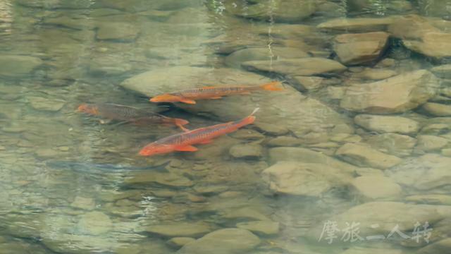 皖浙摩旅二人转——桐庐石舍村篇