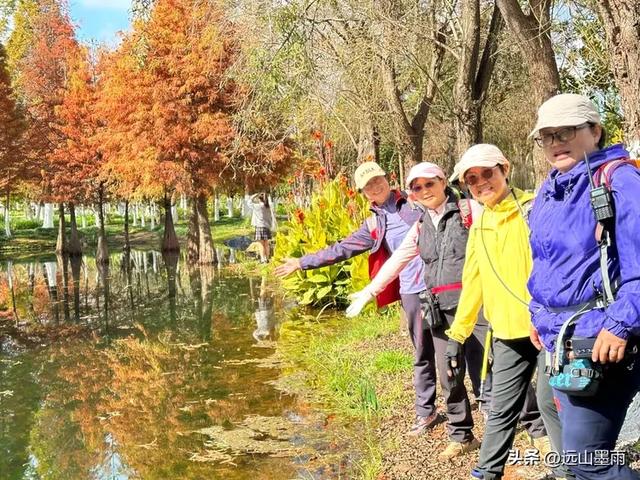 随走呈贡大学城，逛梁王湖、转小土林，感受多彩的秋冬世界，休闲