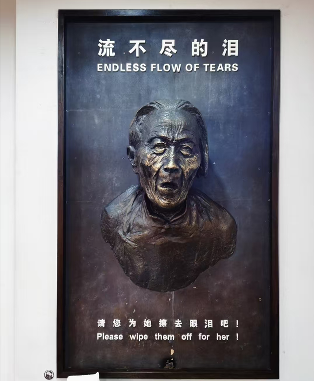 我是北京人，在江苏南京待了几天，憋不住想说说我的游玩感受。