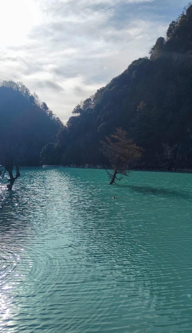 如果是秋天，就去一趟留坝吧